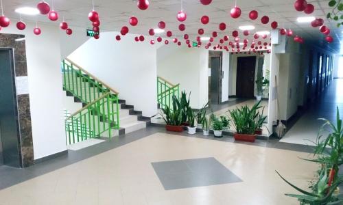 Apartamento Akvareli Appartment 3 Persons 0178