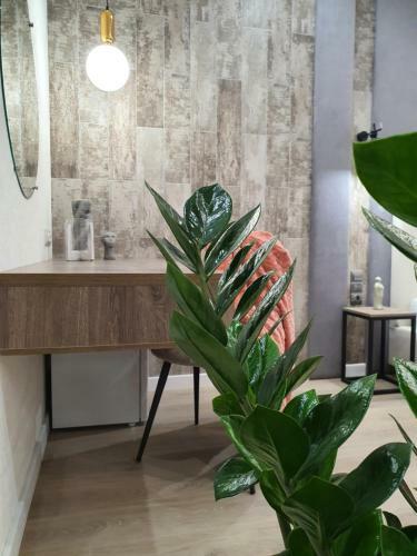 Citylife Boutique Hotel