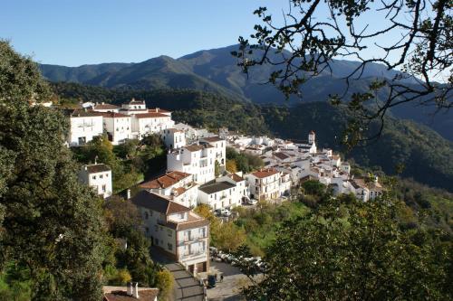 Apartamentos Rurales Jardines Del Visir