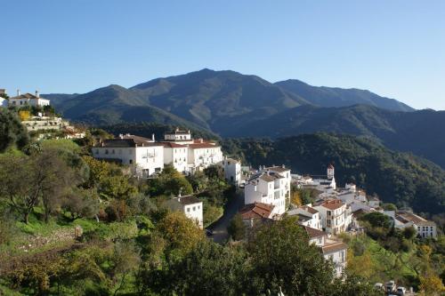 Apartamentos Rurales Jardines Del Visir