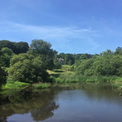 Bed & Breakfast Noyadd Trefawr