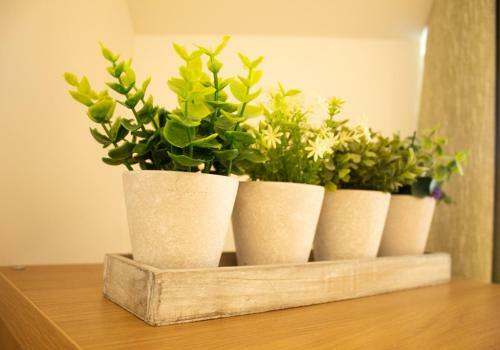 3 Orchid Place - Mo Chridhe