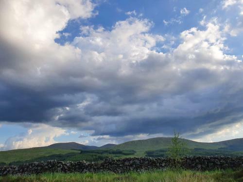 Lavender Cottage Book 7 Nights Get One Night Free