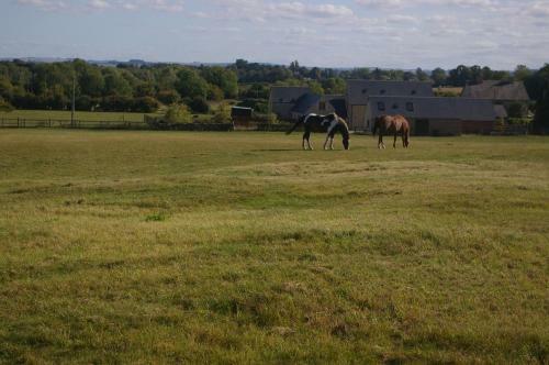 Ty Nant Cottages And Suites