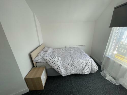 Apartamento Birchgrove 3 Bedroom Flat