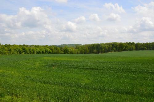 Bed & Breakfast La Grange Des Marettes