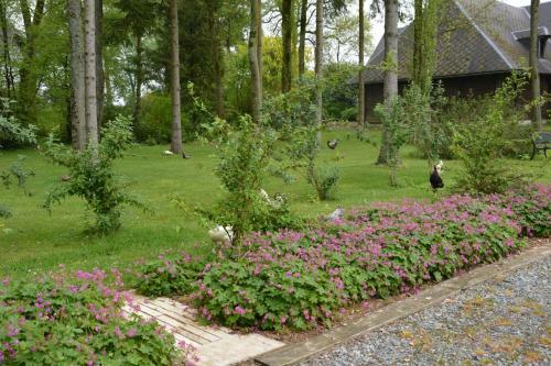 Bed & Breakfast La Grange Des Marettes