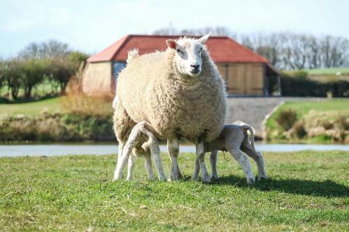 Four Acres Farm Self-catering