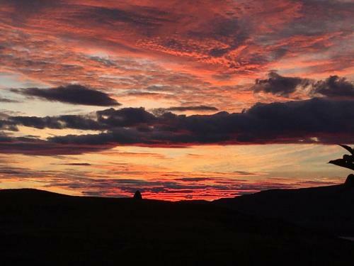 The Lambing Shed