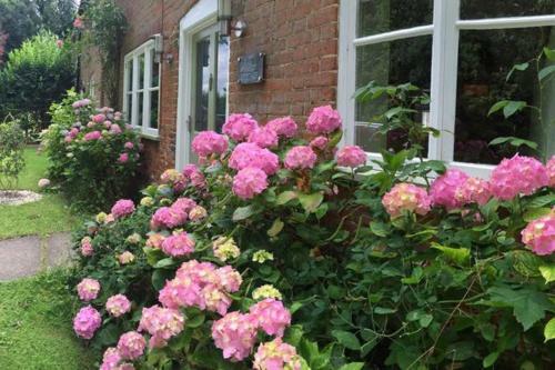 Button Cottage Norfolk
