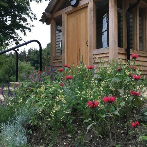 Hotel South Downs Eco Lodge & Camping