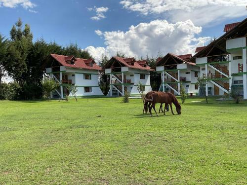 Hotel Resort Alapa