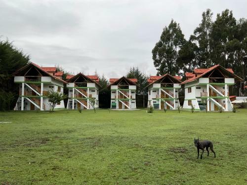 Hotel Resort Alapa