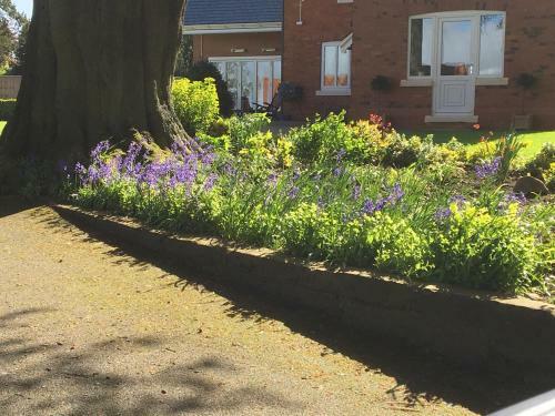 Crossways Self-catering Cottage - Self Contained