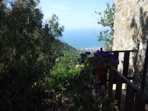 Villa Casa Batia