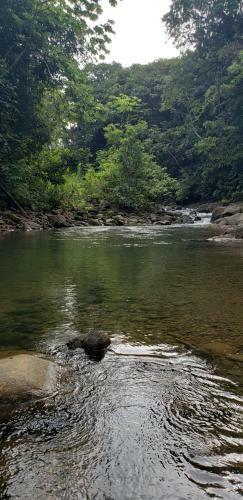 Apartamento Cabina Gan Eden - Walking Distance From River