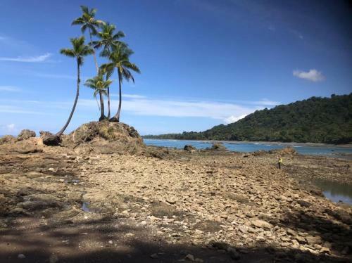 Hostal Sur� House Corcovado
