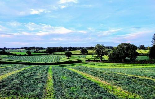 Cheshire View