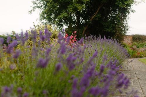 Bed & Breakfast Hordley Hall