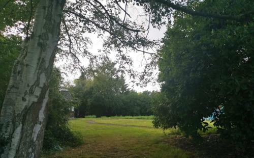 Peaceful Retreat Hideaway Surrey