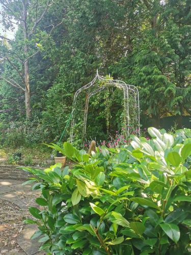 Peaceful Retreat Hideaway Surrey