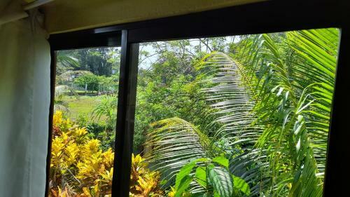 Apartamento Paraiso Tropical 2