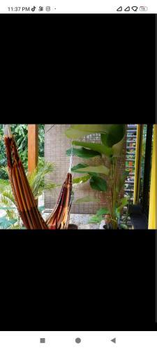 Mojito House