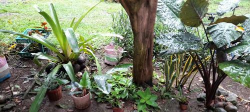 Apartamento Casa Cristy