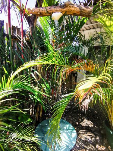 Boho Caribe