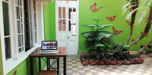 Posada Casa Mayela Guest House