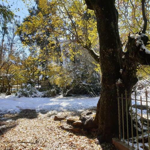 Chalet Ifrane