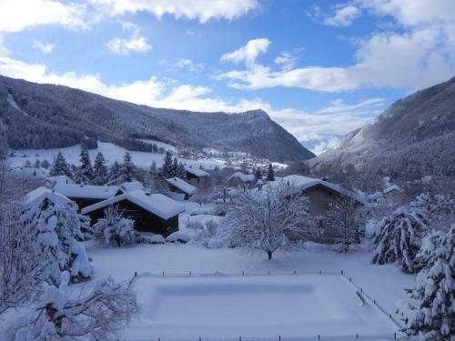 Hotel H�tel Des Skieurs