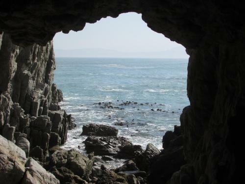 Apartamento Whale Watch Accommodation