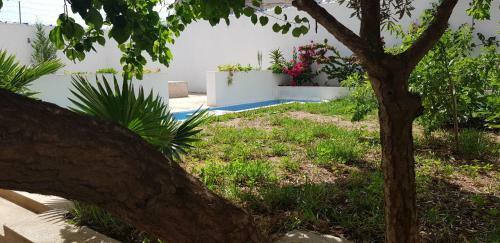 Prive Kamer Met Tuin En Zwembad