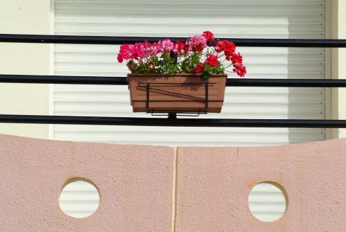 Apartamento Appartement Mimousa