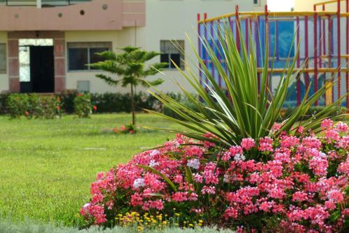 Apartamento Appartement Mimousa