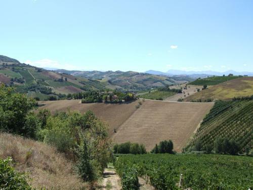 Agroturismo Agriturismo La Campana