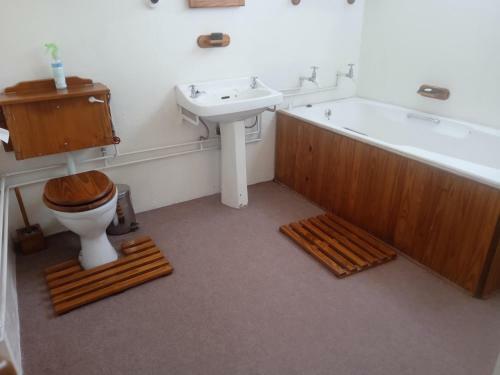 Hostal Golden Elephant Guest House