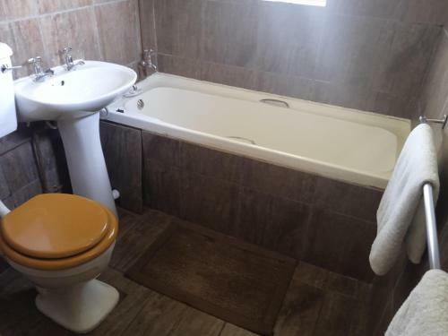 Hostal Golden Elephant Guest House