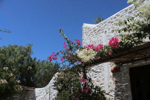 Hostal Riad Sanam Essaouira