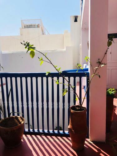 Riad Haizea Mogador