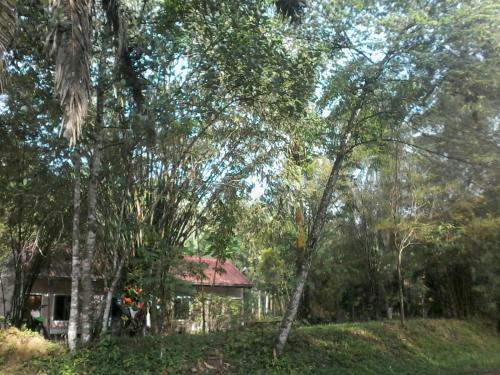 Albergue Suan Bang Bon, B&B - Inn