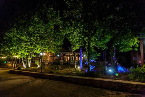 Hotel H�tel Les Lavandins