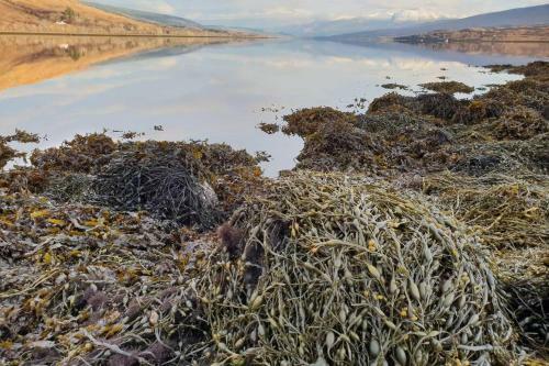 Gasgan. Large Croft House With Amazing Loch Views