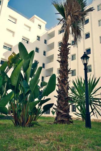 Amazing New Central Apartment, Modern, Very Clean And Very Comfortable
