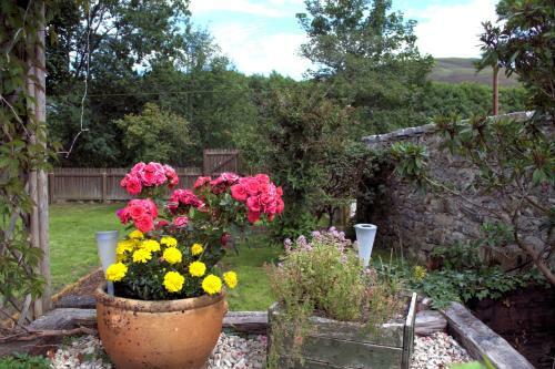 Rosemount Cottage - Highland Cottage