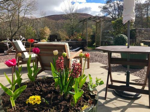Rosemount Cottage - Highland Cottage