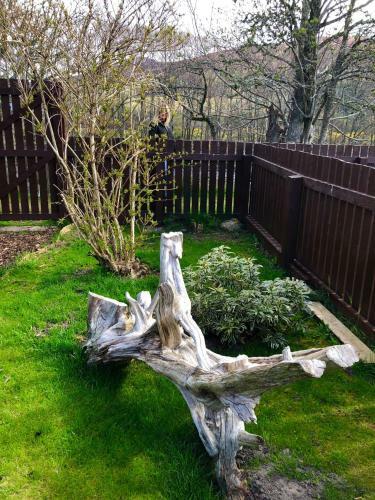 Rosemount Cottage - Highland Cottage