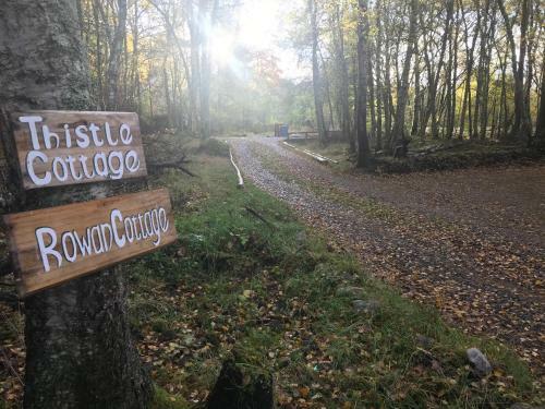 Thistle Cottage, Crannachcottages