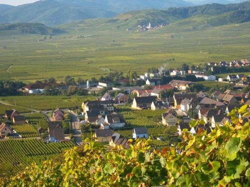 Apartamento Alsace Appartements Mambourg